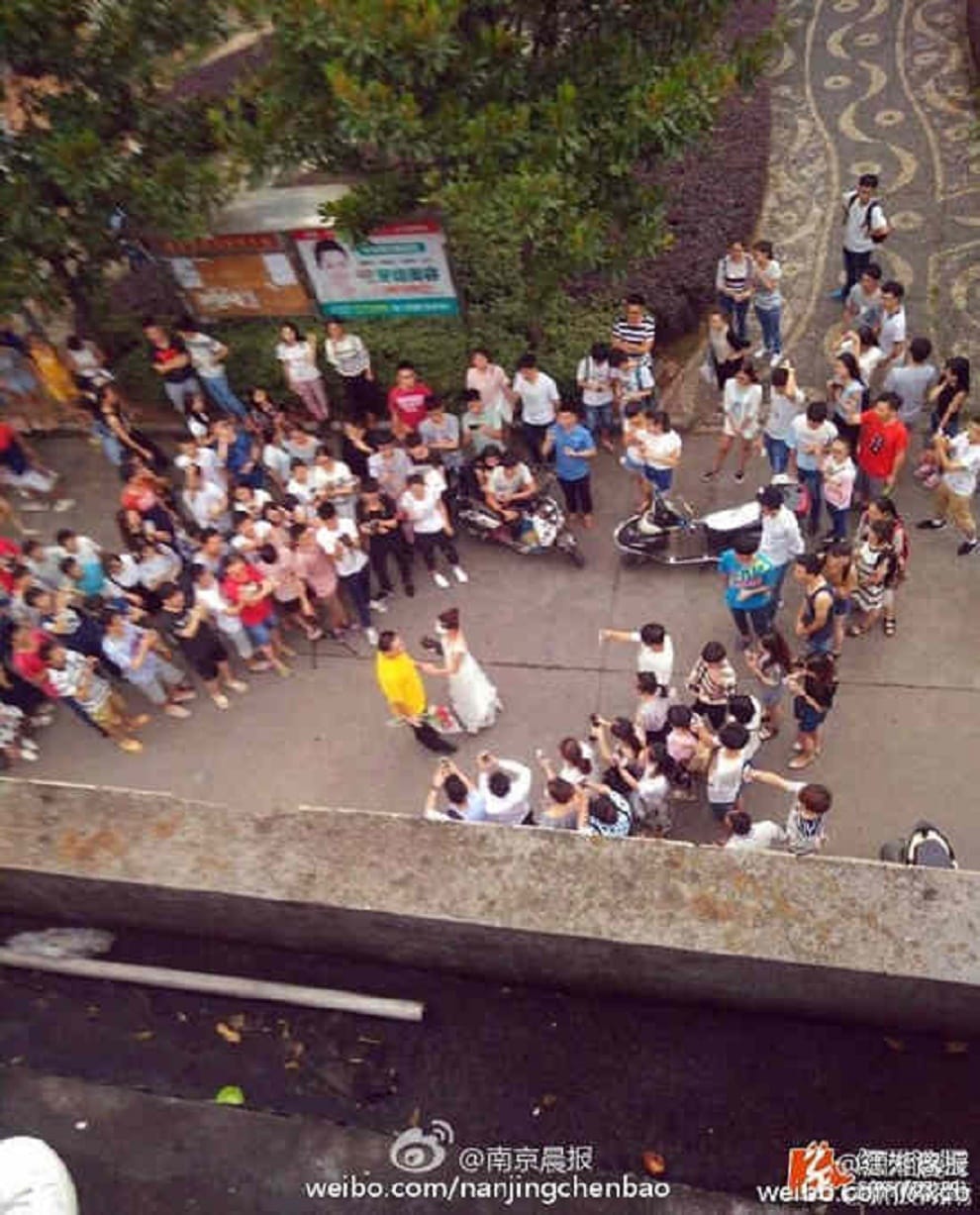 professor wears wedding dress to propose to student