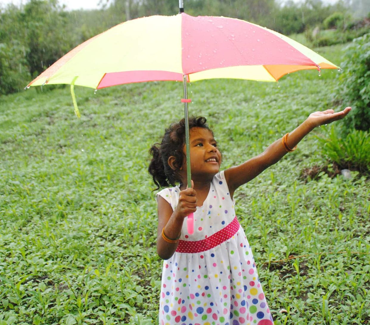 monsoon comes in uttarakhand