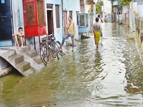 its rained heavly, farmers cheered