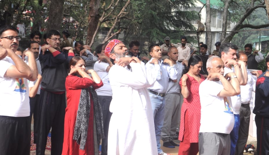 International yoga day celebration at shimla, live photos.