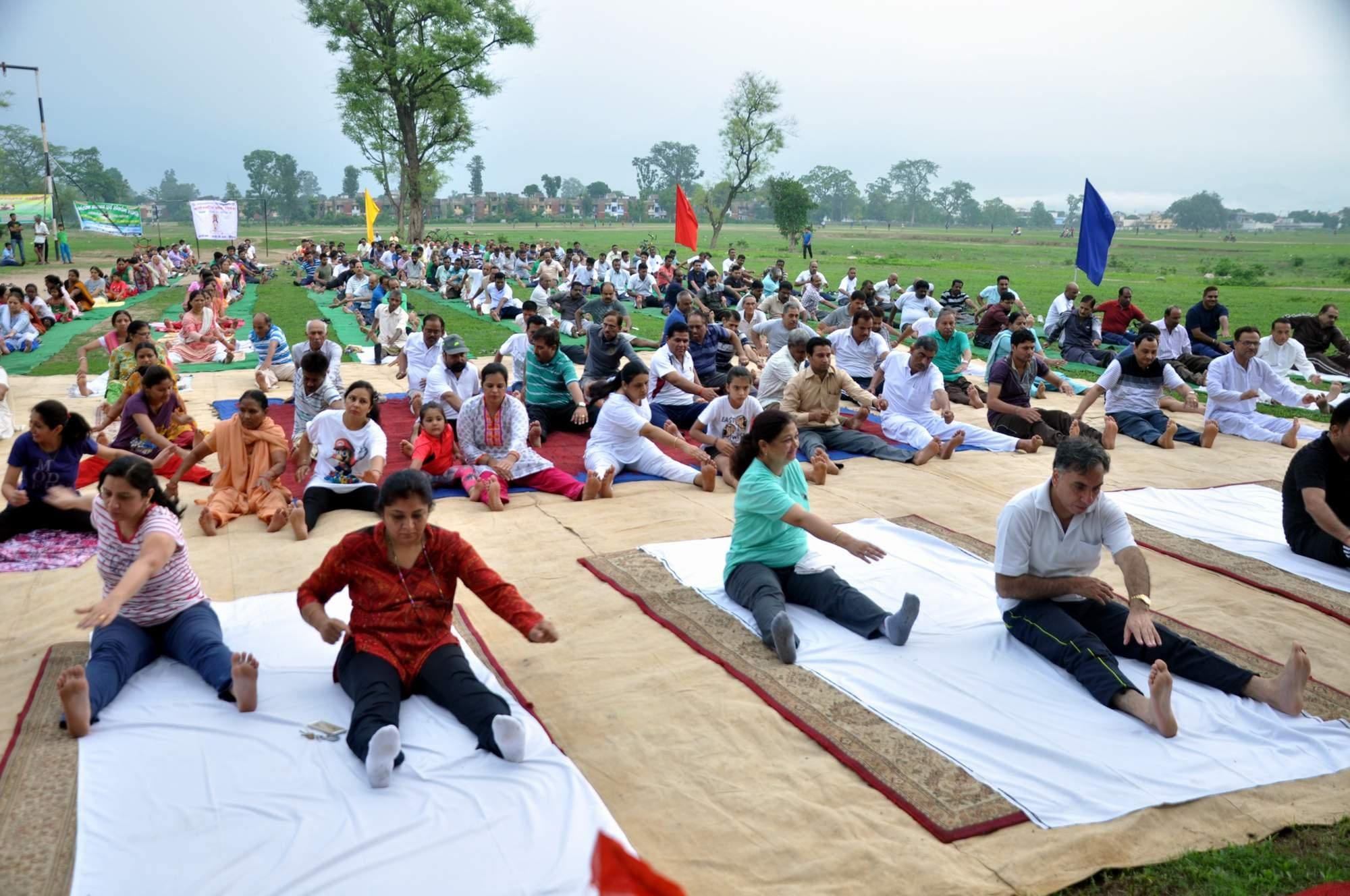 yoga in haridwar and rishikesh on international yoga day