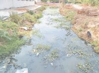 leakage, drinking water, wast, drinking water line, narnaul
