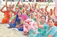 Do not remove the worker from the schools MDM Karnal