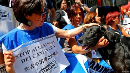 Dog Meat Festival began amid criticism