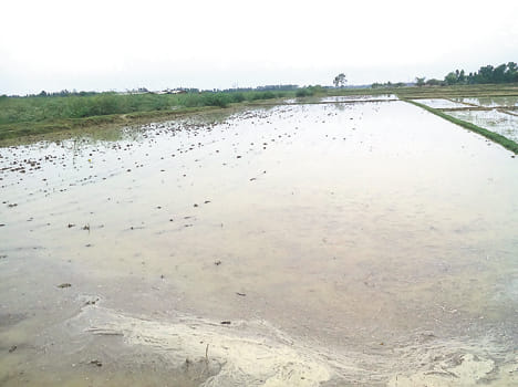 23 mm rainfall in 24 hours