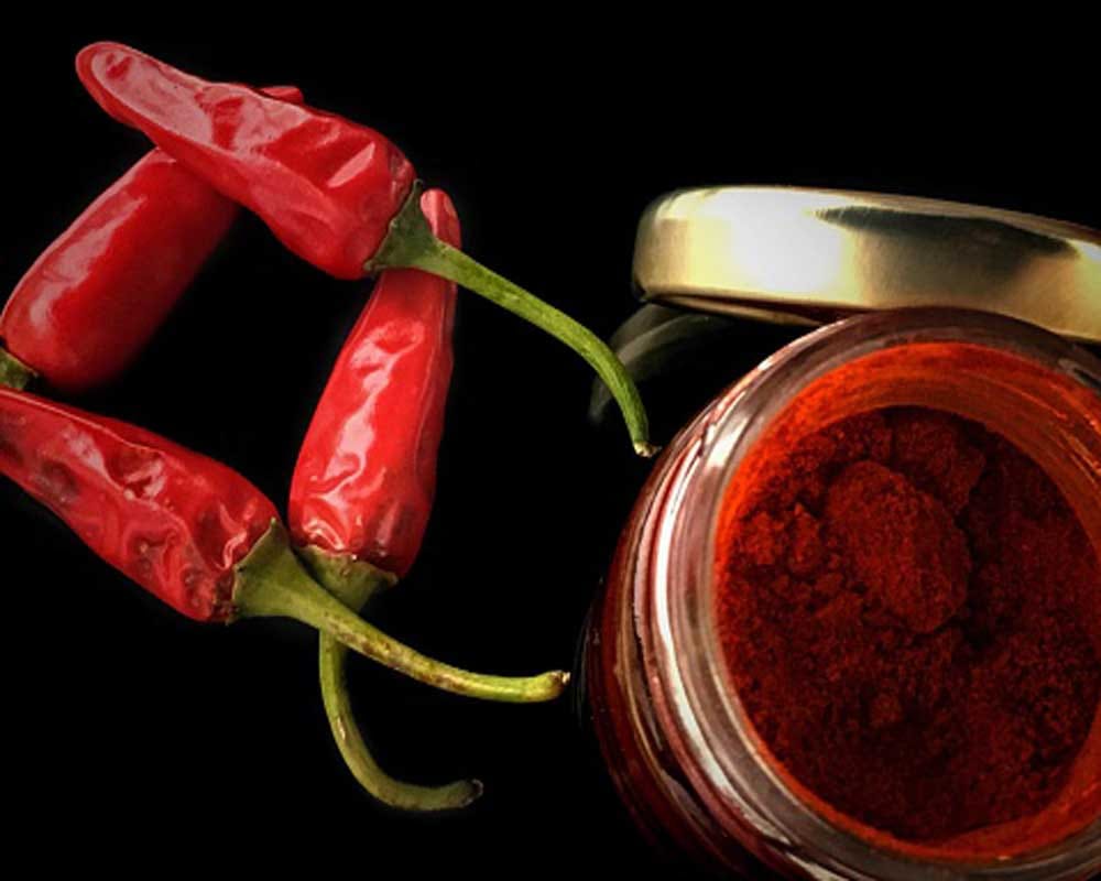 Spices increase our immunity booster for viral infection Can it alternatives to medicines