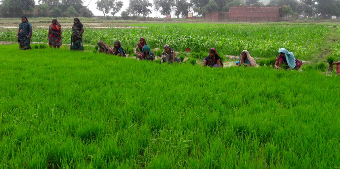 Badri of Adra