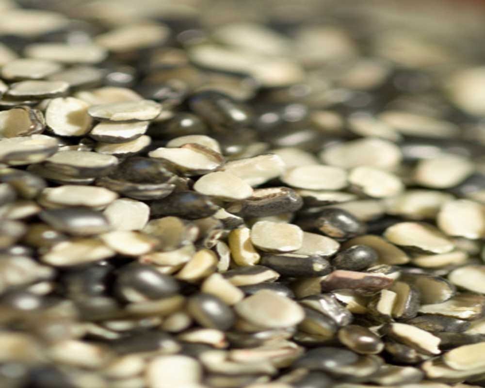 Health Benefits Of Urad Dal 