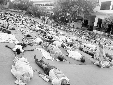 Yoga in the people show enthusiasm