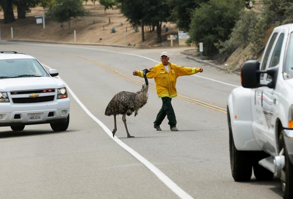 WILDFIRE IGNITES IN CALIFORNIA