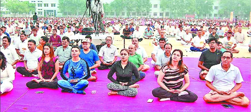 The Yoga