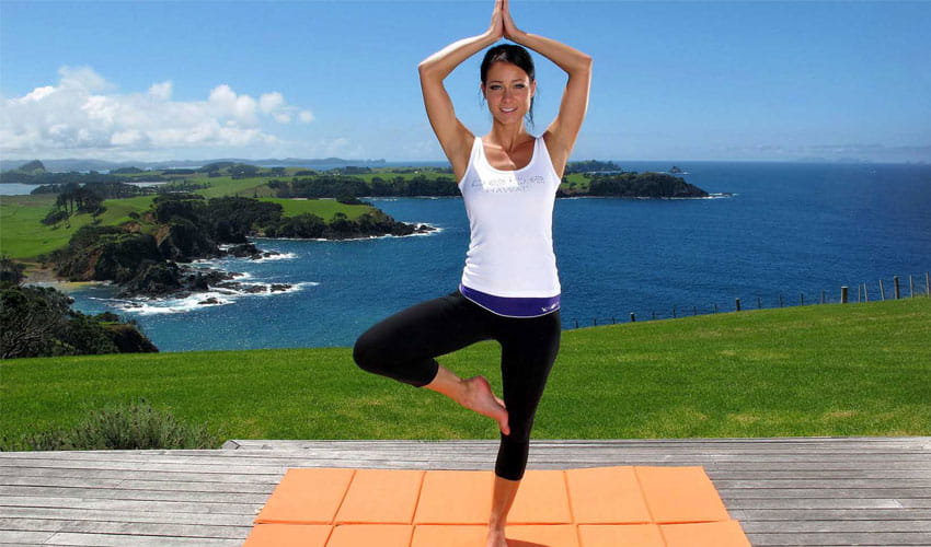 yog center in pandoh