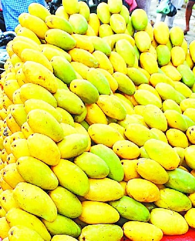 Rataul mango Smelled in Lucknow festival