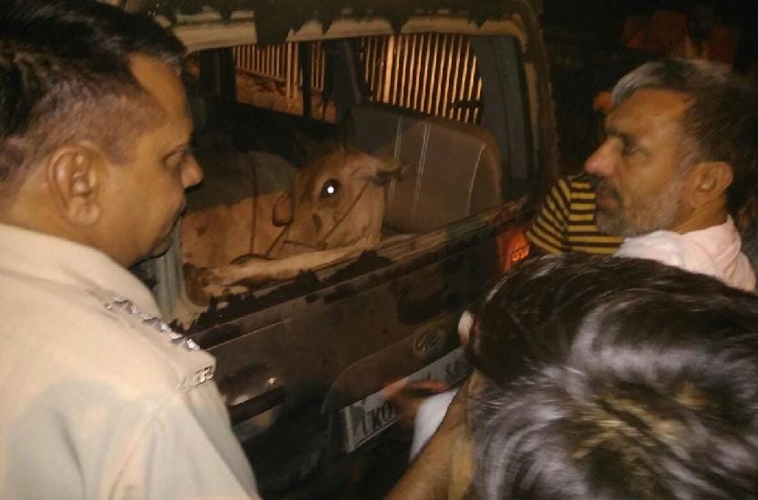 cow smugglers, Firing, Attack, Cow, Panipt, Crime