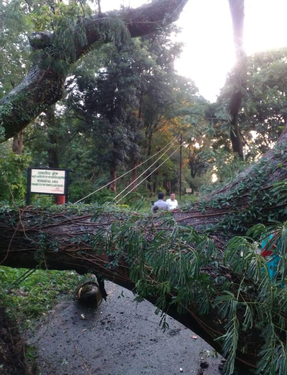 dehradun after rain
