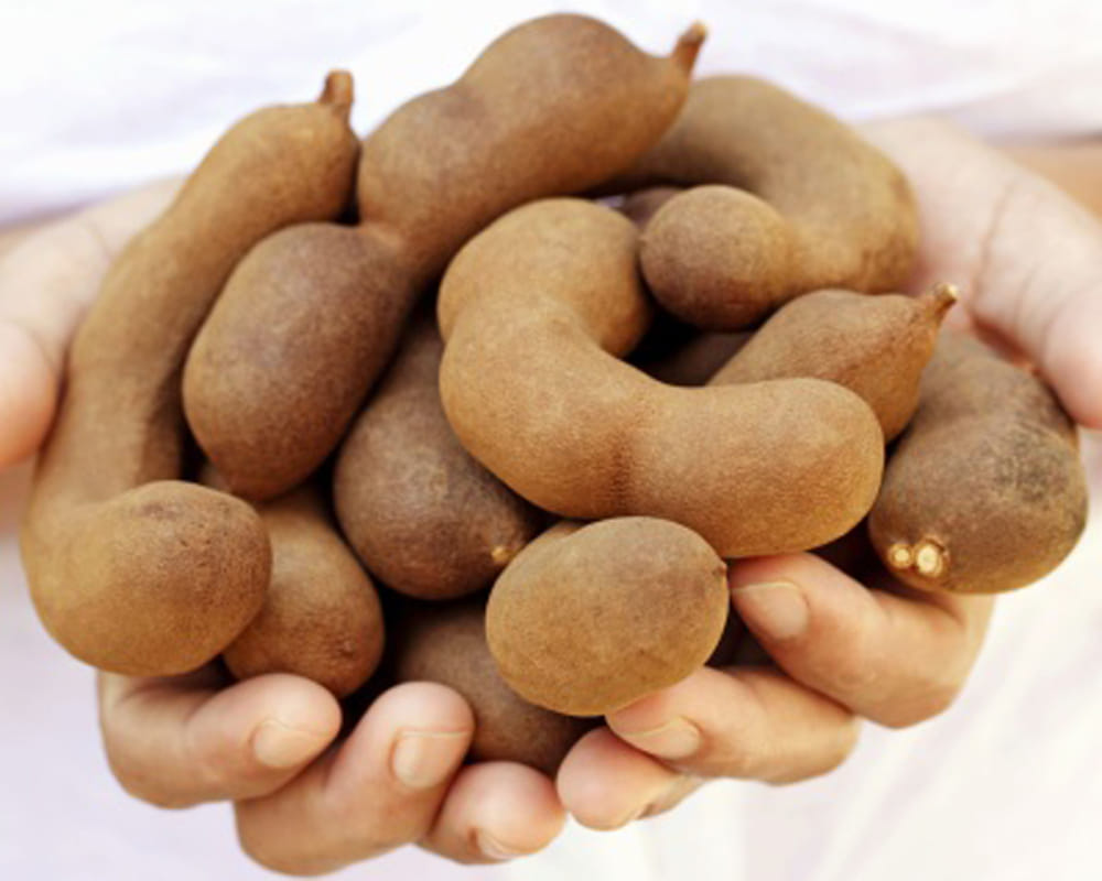 advantages of tamarind