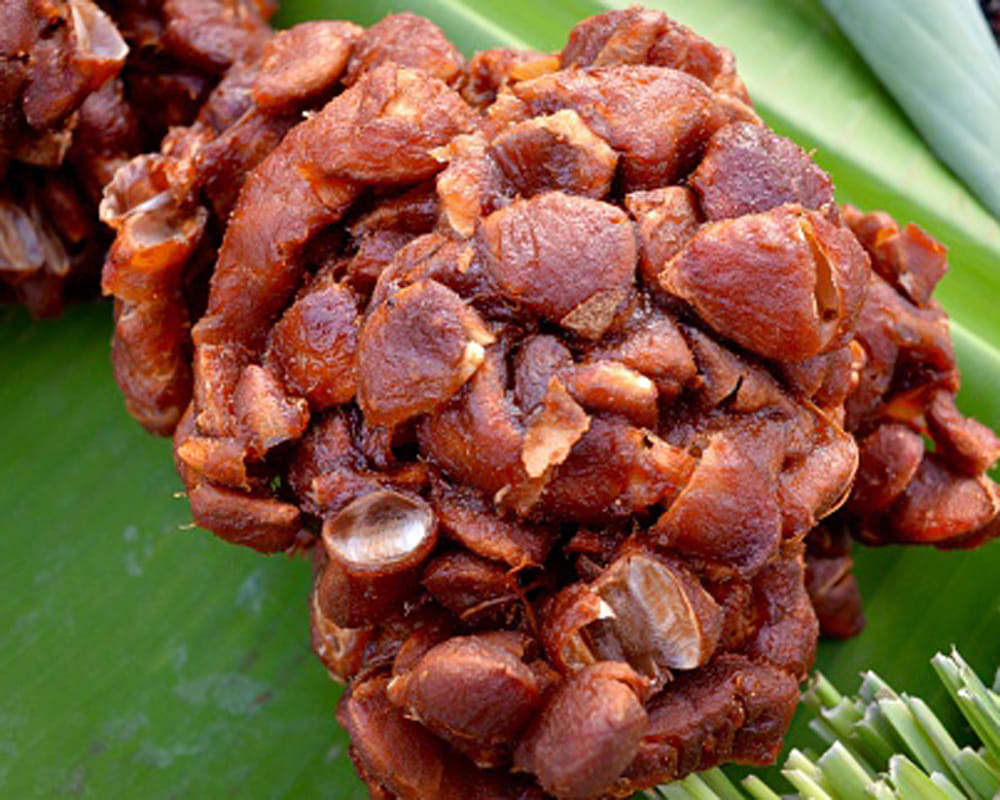 advantages of tamarind
