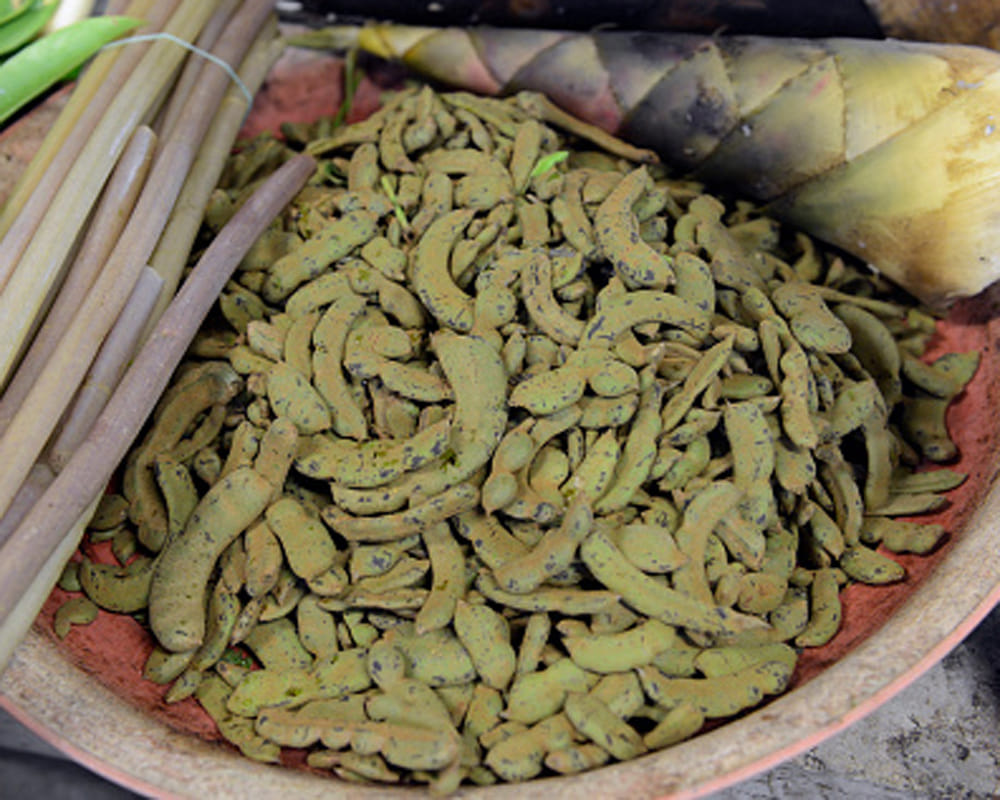 advantages of tamarind