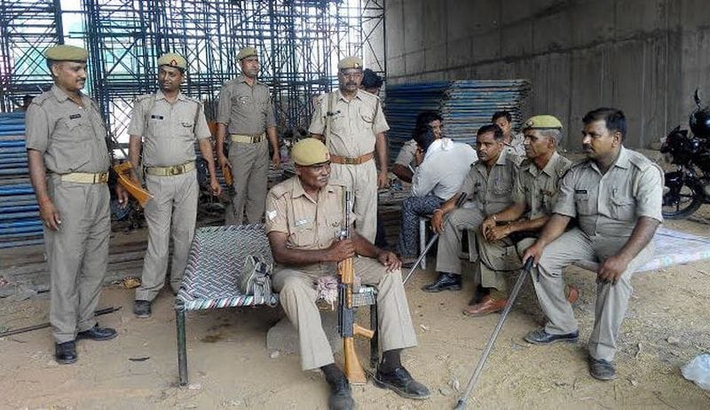 post mortom report of dead cows reveal reason of deth