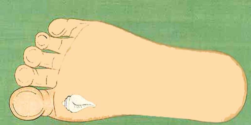 10 auspicious signs on shri krishna foot