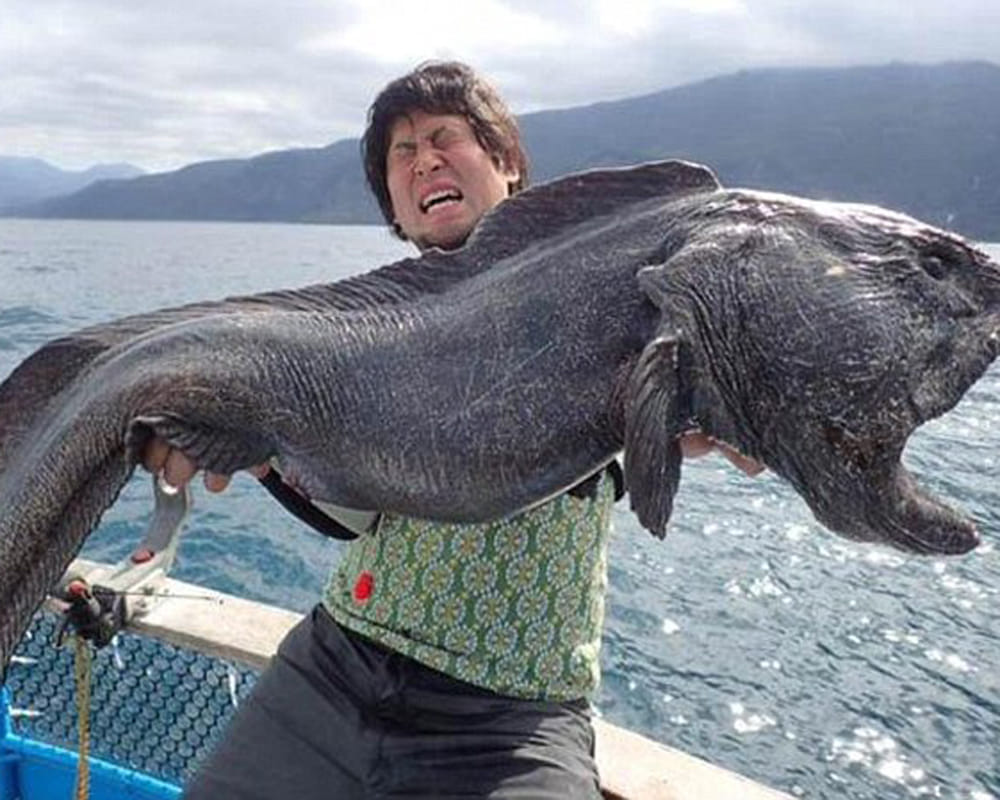 weird fish found in japan after fukushima disaster