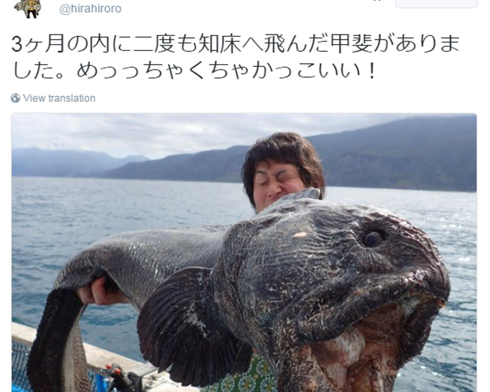 weird fish found in japan after fukushima disaster