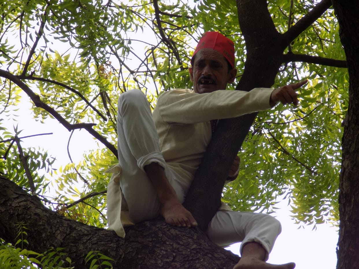 Climbed trees complainant, swollen hands and feet of the administration