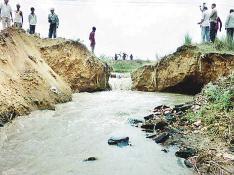 The cut nursery hundred acres of paddy submerged Khandi