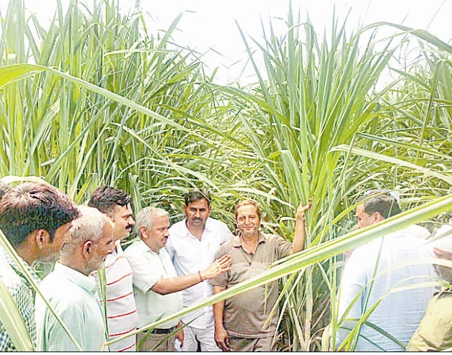 Bijnor farmers as hard iron