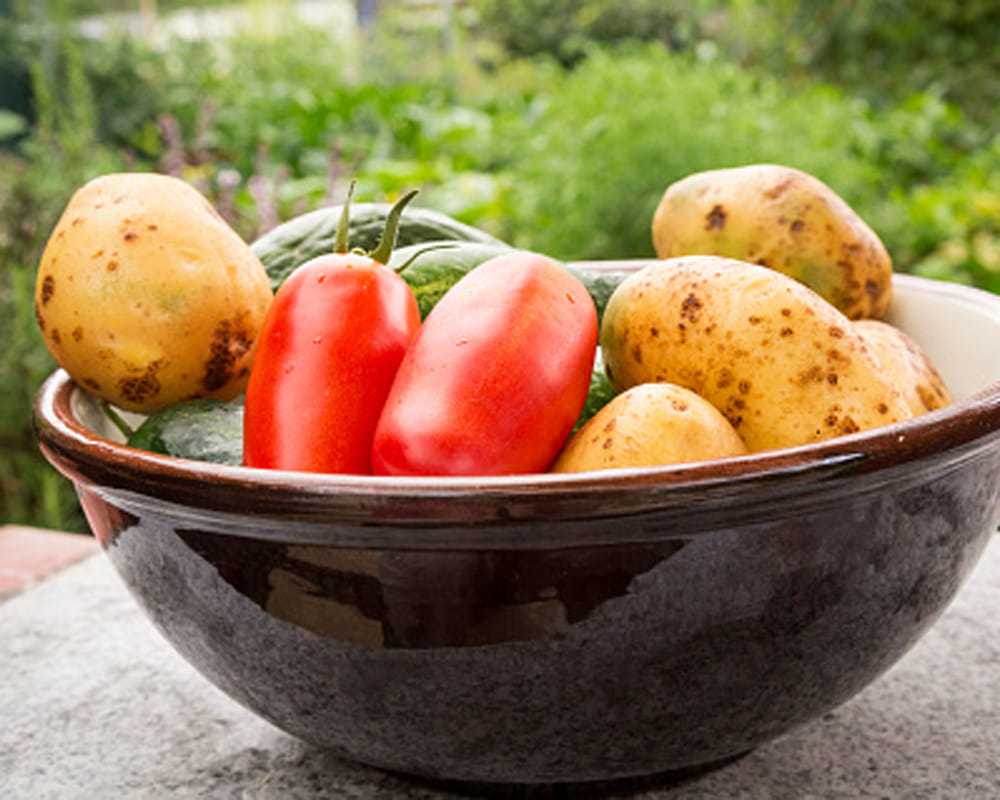 tips to cure stomach ulcer easilly