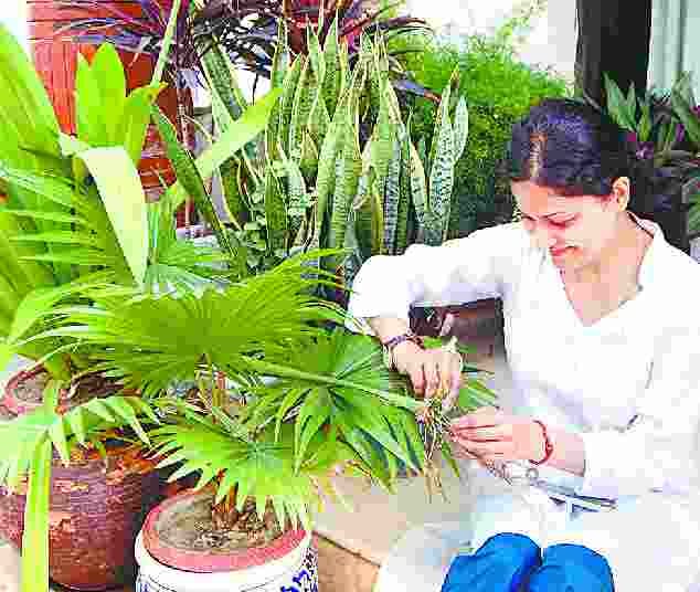 online gardening