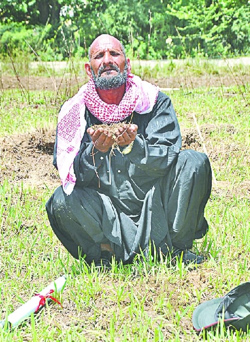 Army to return the land to farmers