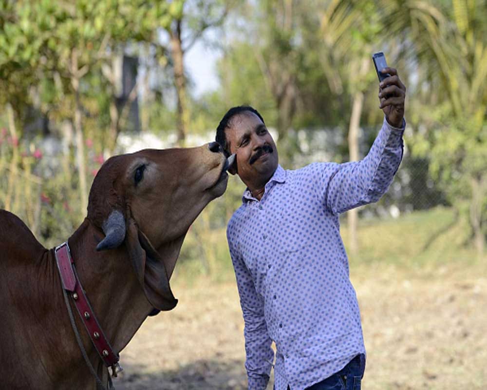 Some places and times you should never take selfie