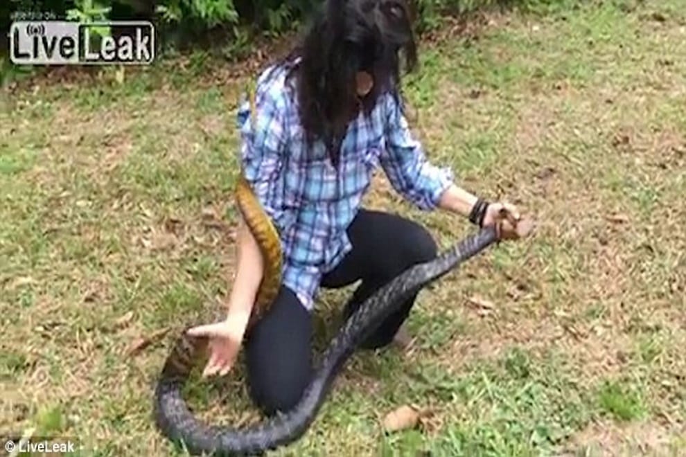 Fearless woman chases after SIX-FOOT snake and catching it with her bare hands  