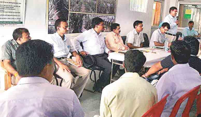 use trench method in sugar cane