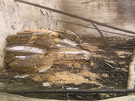 House fire, household ash
