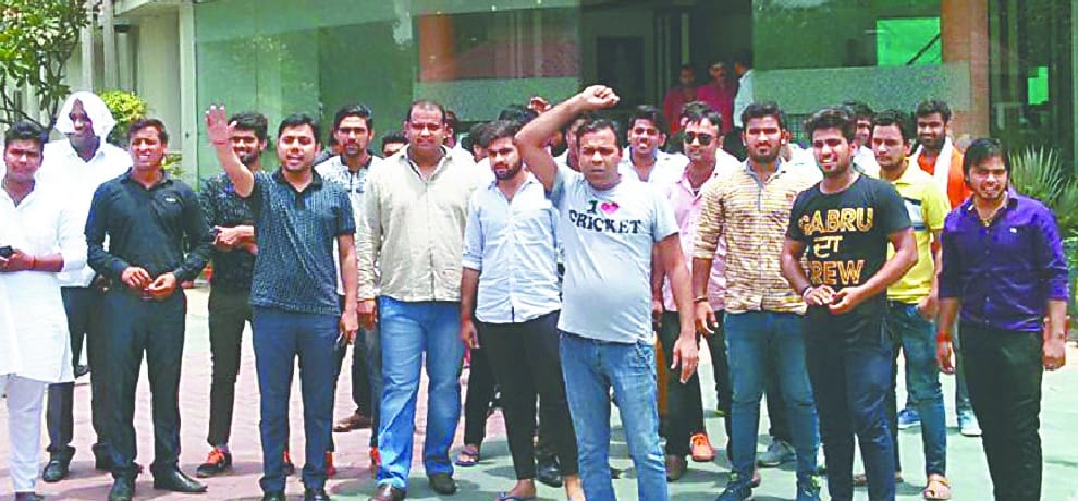 meat found in pulse in heritage restaurant at greater noida, customer creates furore