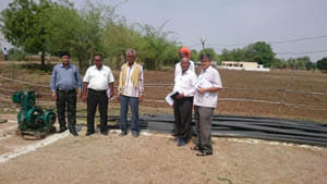inspection team galla mandi