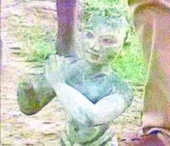 Krishna's statue found in field