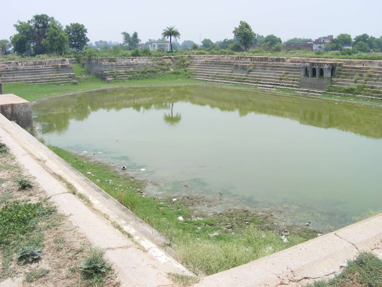 The ancient badricandra puddle Vulnerable