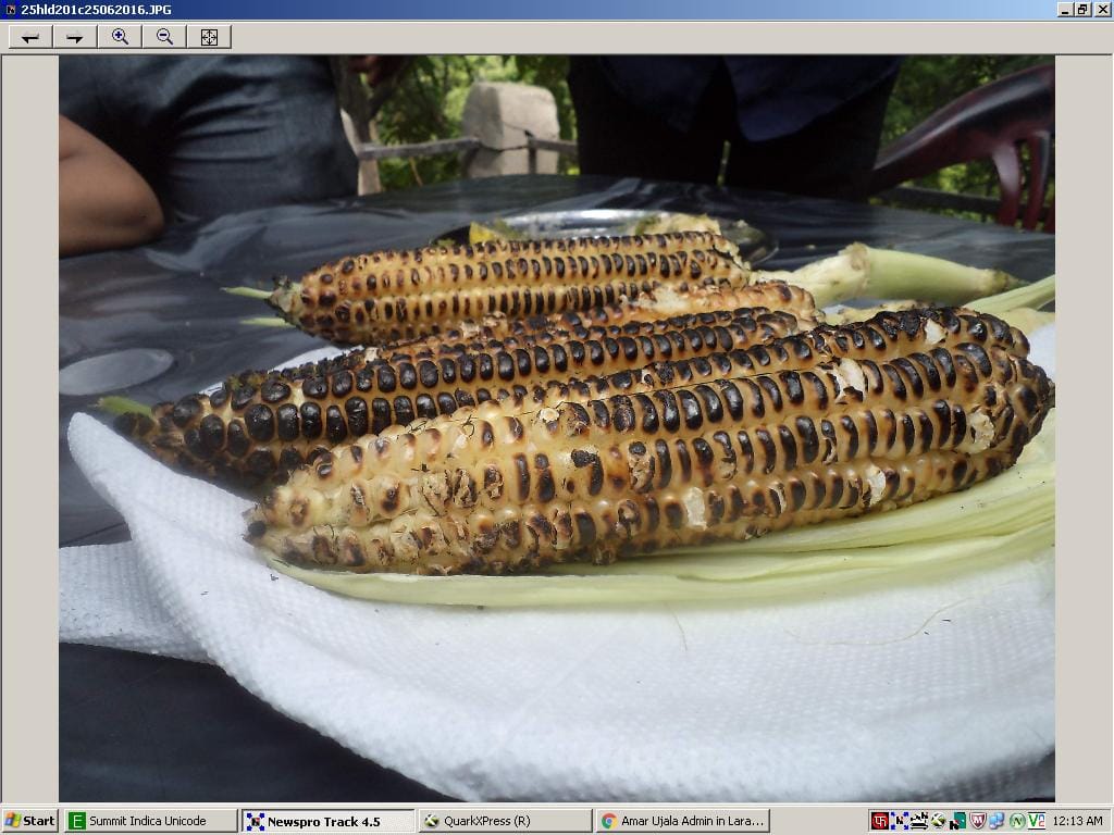 Up corn 'live' from the mountain go