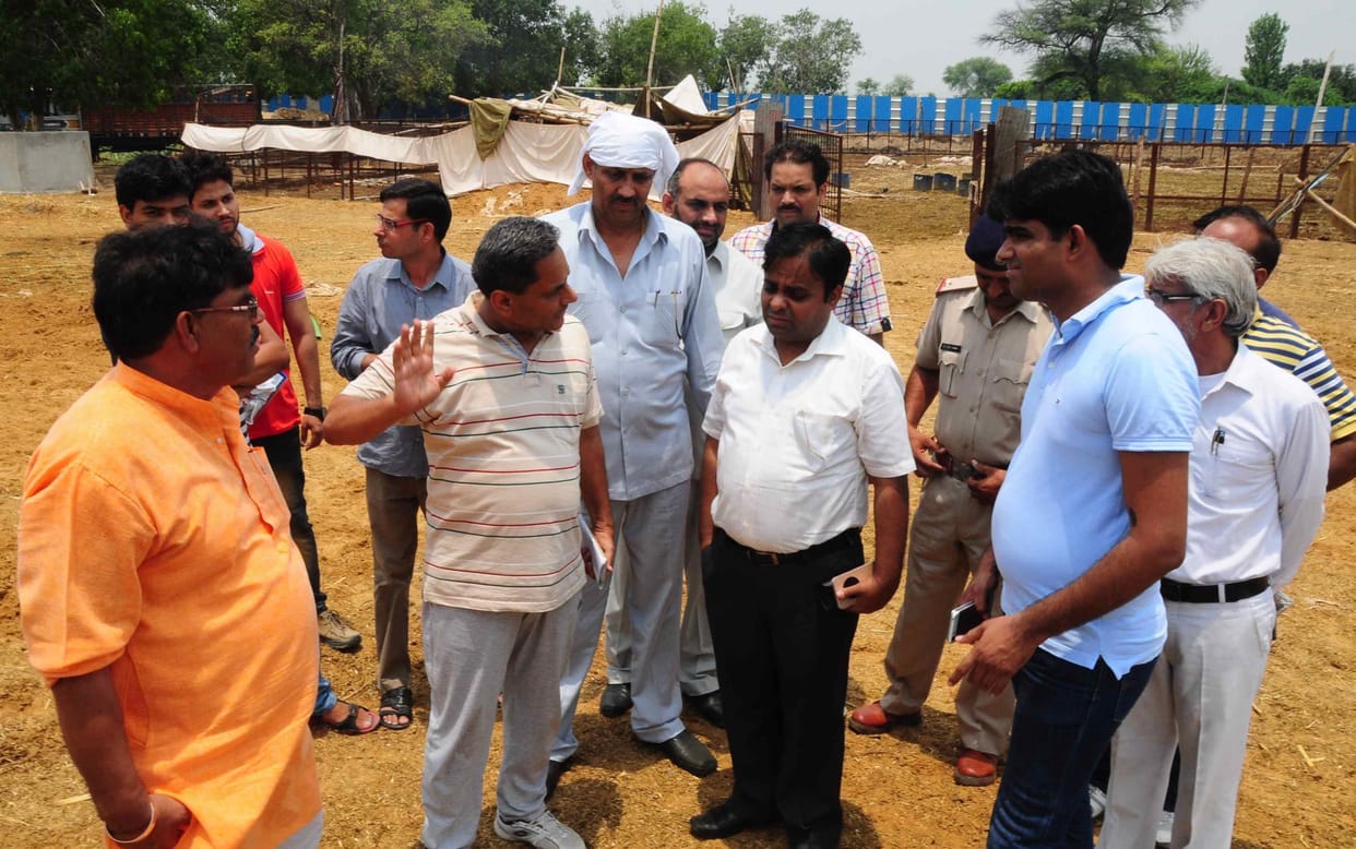 rohtak, parahawar Goshalaan, cow death, rss, bjp, haryana, big issues, haryana, nagar nigam