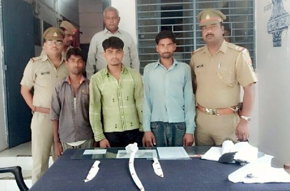 Two arrested with a quarter pound of marijuana