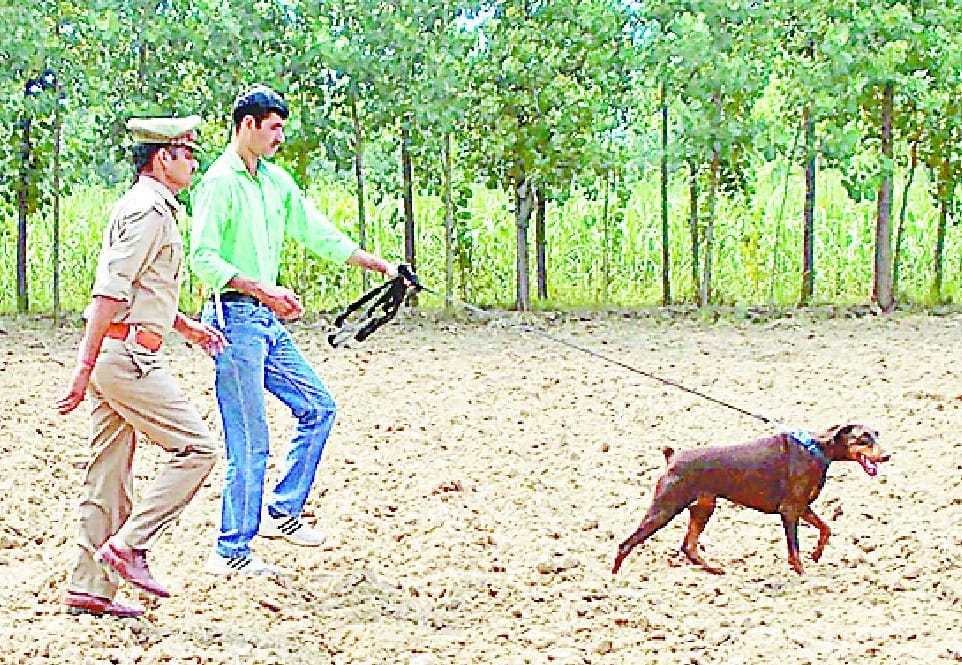 Mown down by miscreants farmer