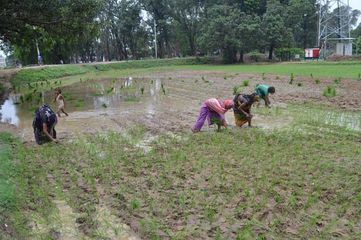 Farmers happy with rain