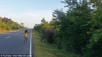 Little Girl Control Wild Elephant in Sri Lanka video gets viral