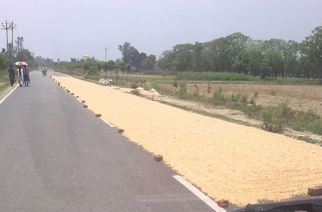 Is being encroached upon roads dried corn