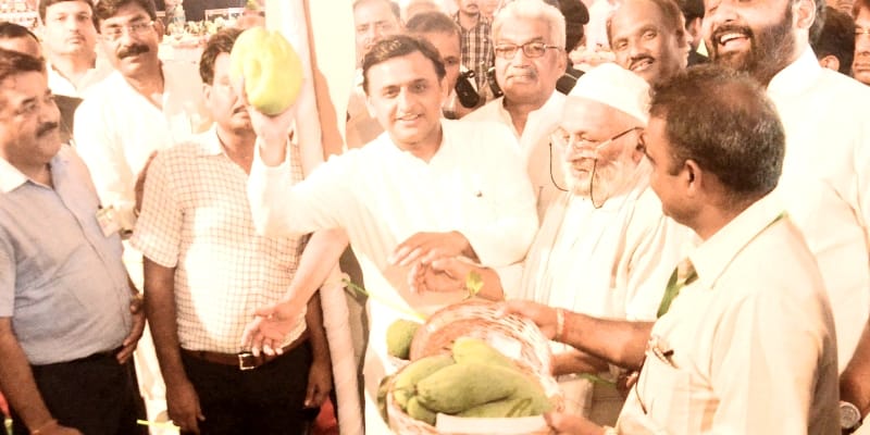 cm inaugurates mango festival in lucknow