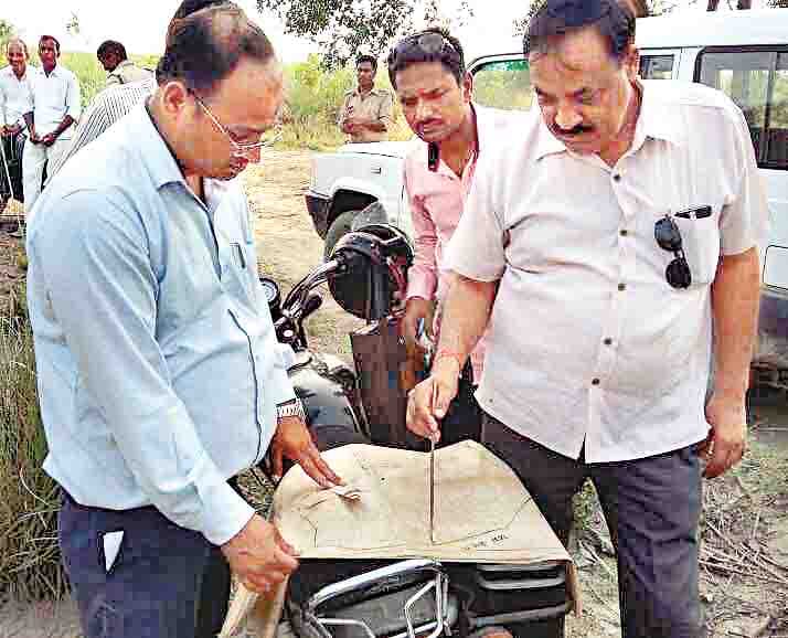 marking of forest 