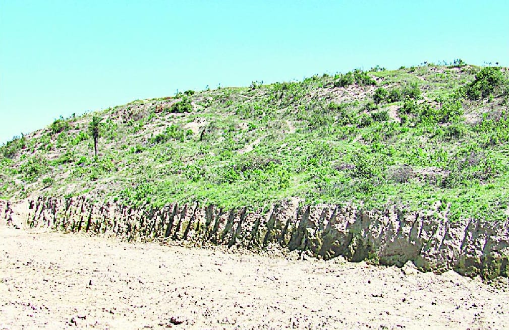 Sindhukalin be protected mound of Sarsawa